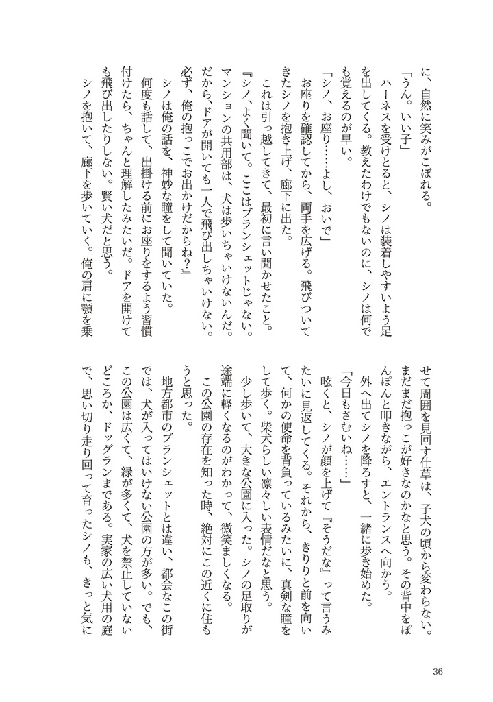 黒柴シノのハピネス