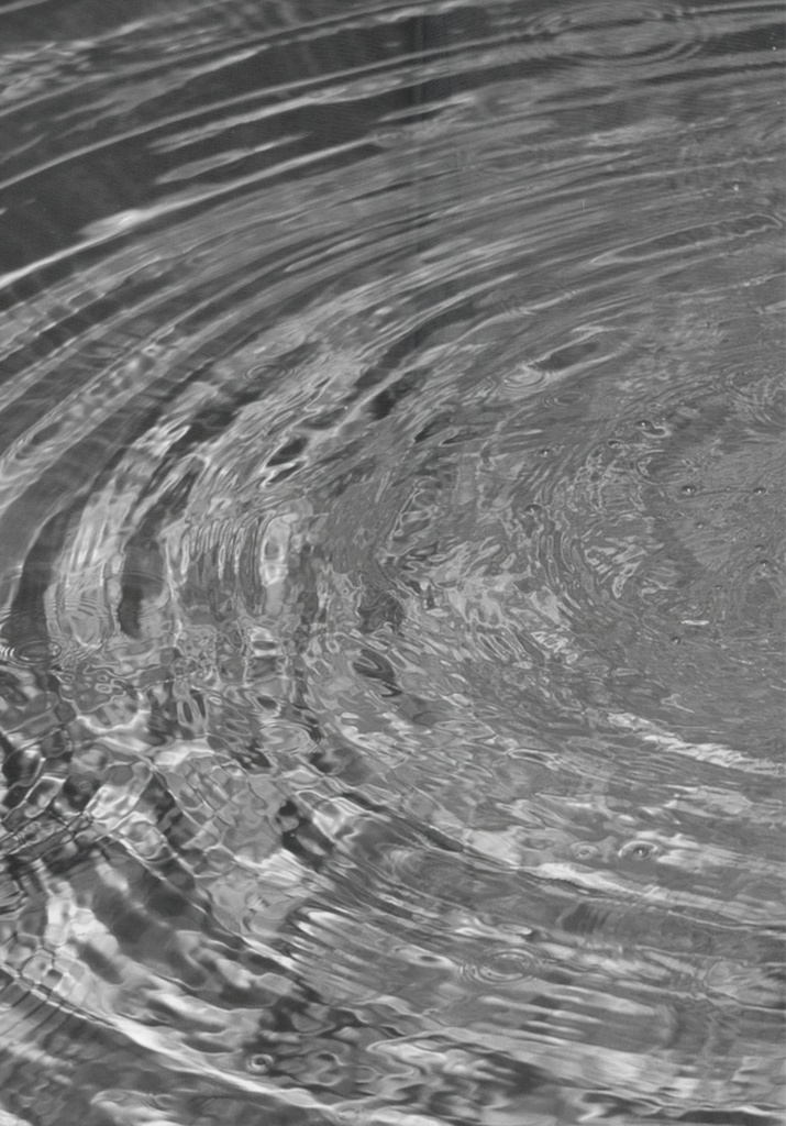 着物の小説 紗袷を着て往く(紙本)