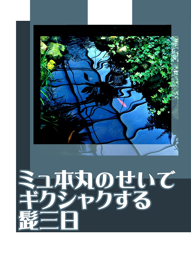 【ひげみか】ミュ本丸のせいでギクシャクする髭三日