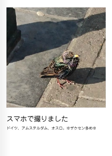 【欧州旅行写真本】スマホで撮りました。