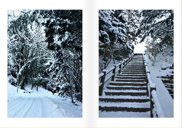 【旅行写真本】雪と氷の平泉散歩