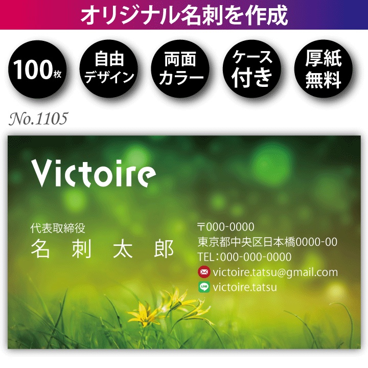 名刺 名刺作成 名刺印刷 100枚 両面 フルカラー 紙ケース付 No.1105