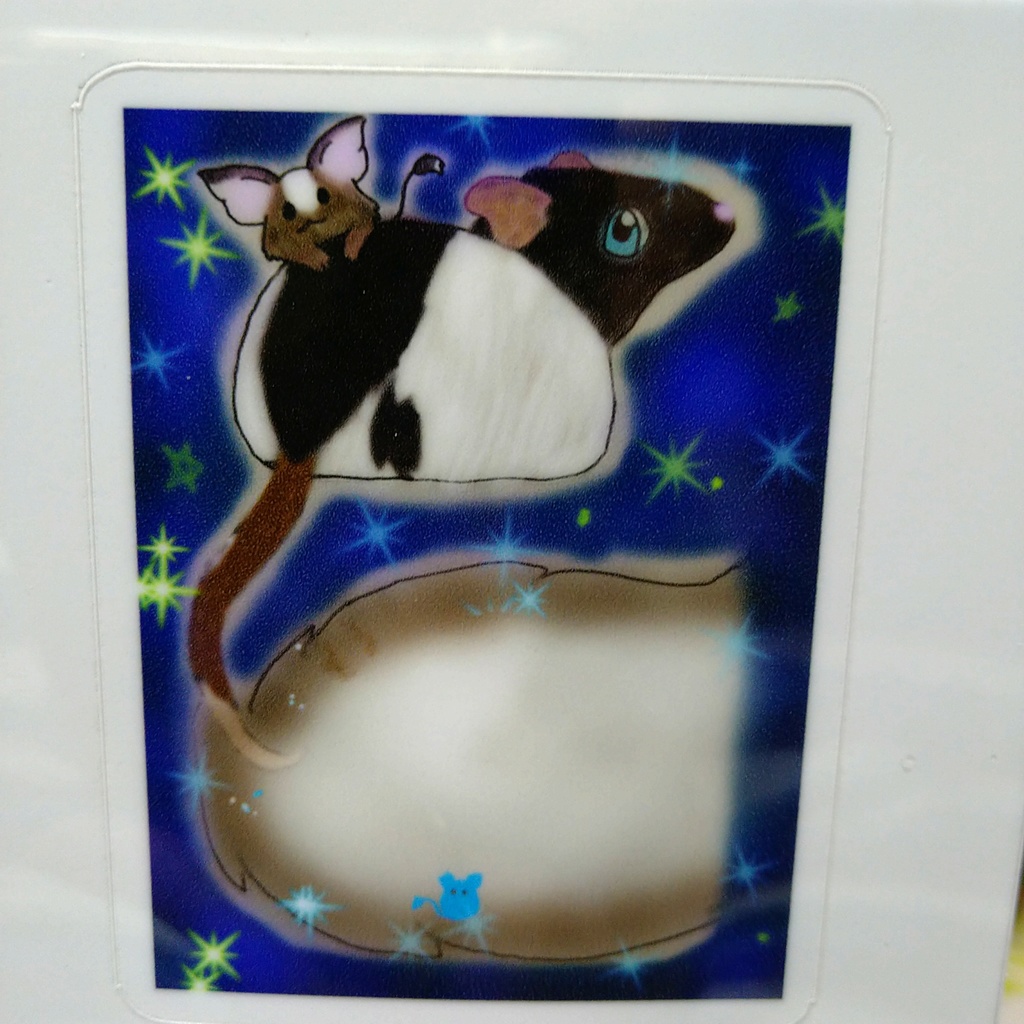 ラハの背中にハサ