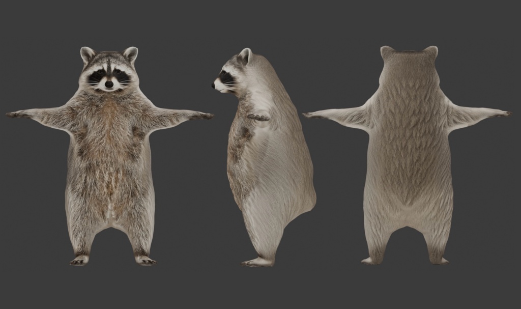 【3Dモデル】アライグマ VRM+FBX同封