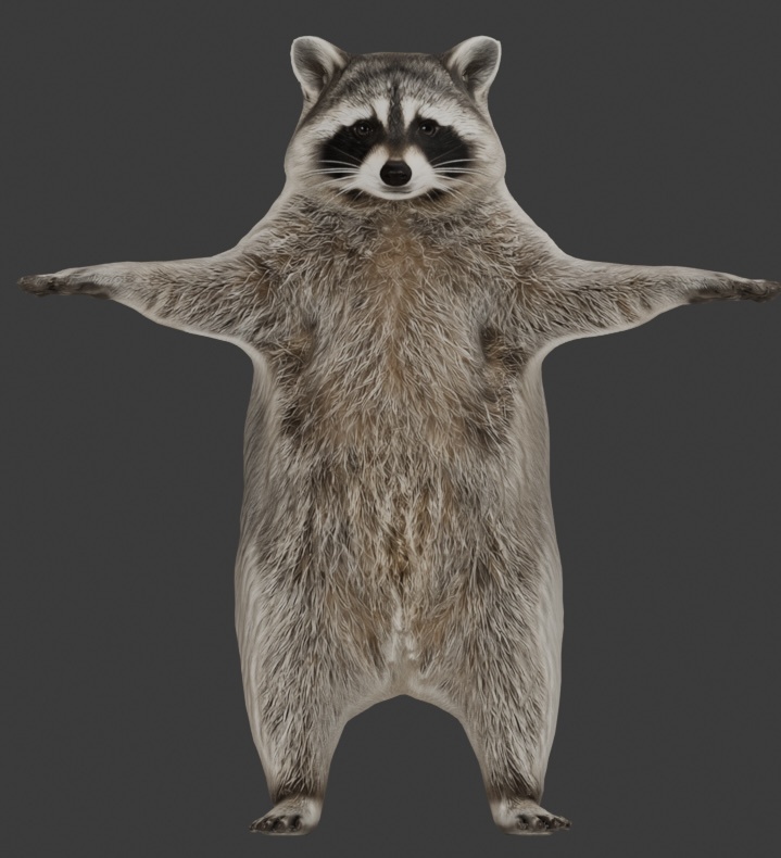 【3Dモデル】アライグマ VRM+FBX同封