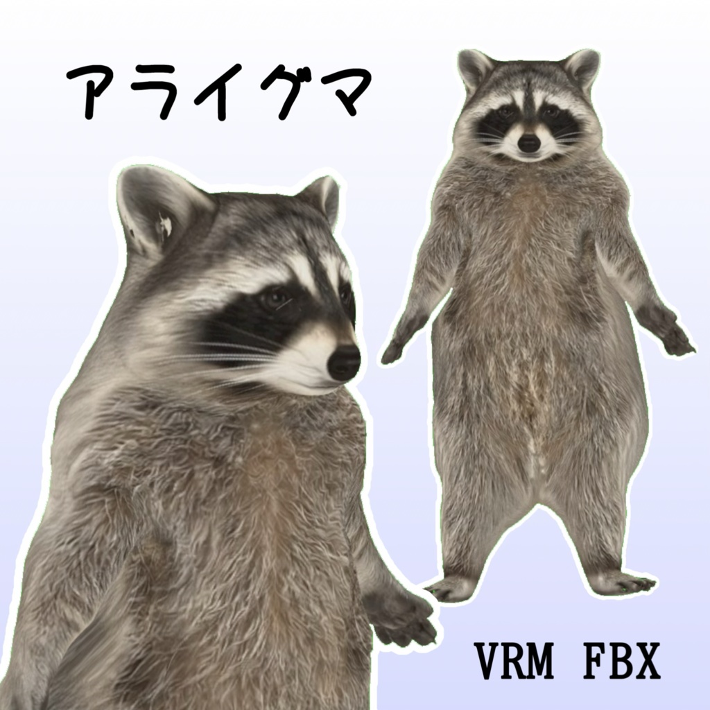 【３Dモデル】アライグマ　VRM＋FBX同封