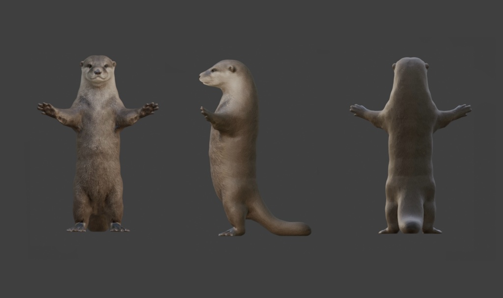 【3Dモデル】カワウソ VRM+FBX同封