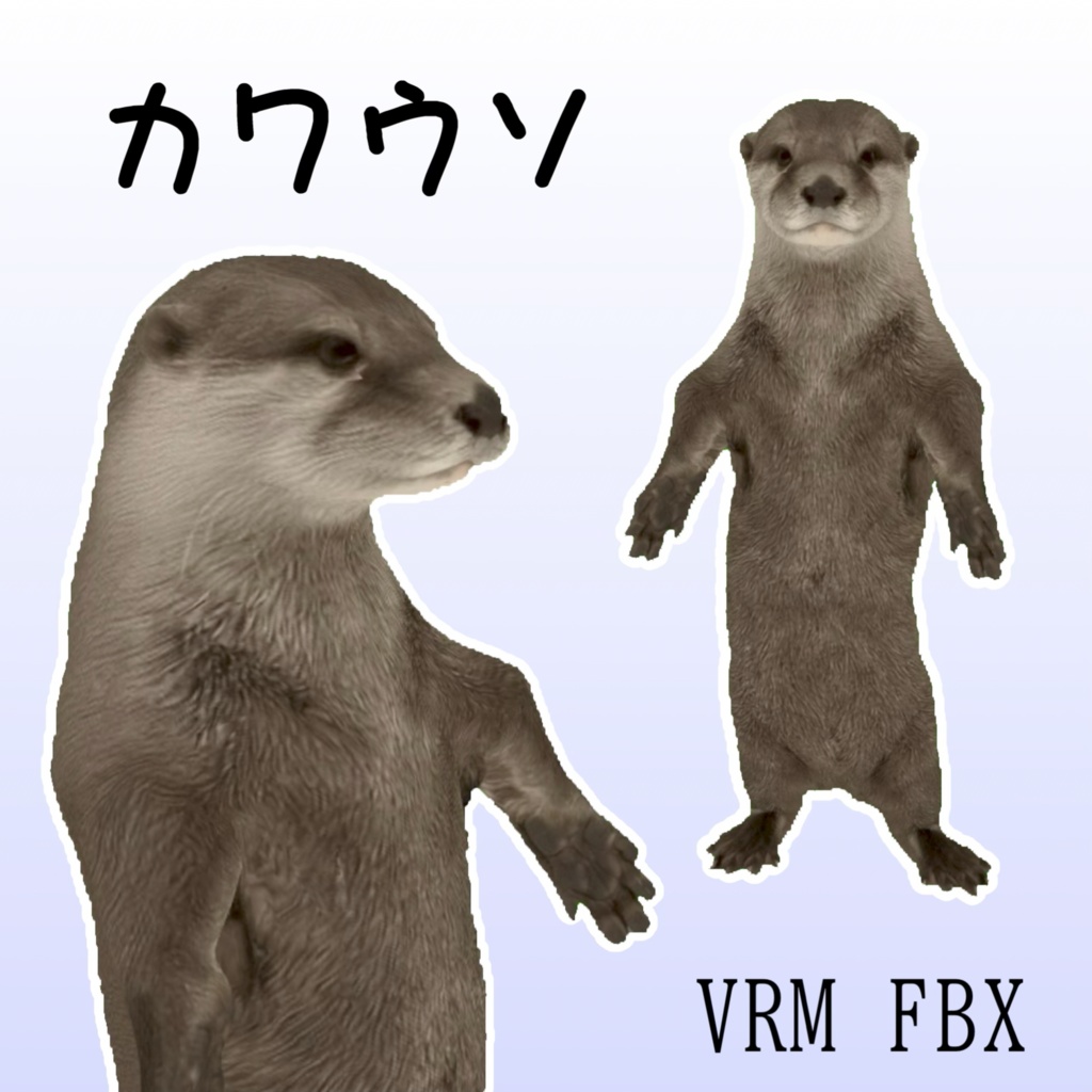 【３Dモデル】カワウソ　VRM＋FBX同封