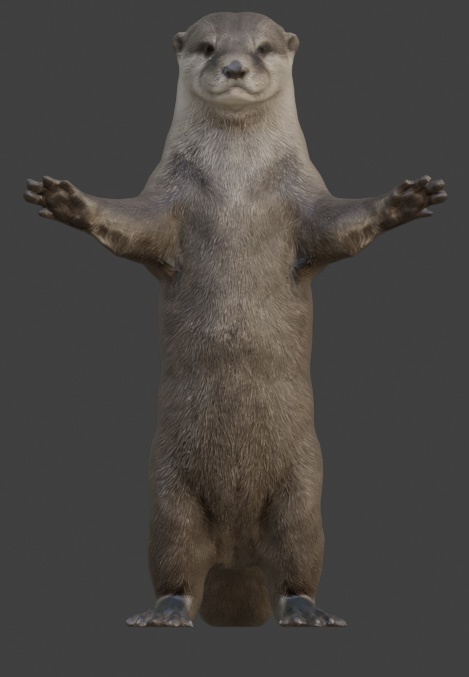 【3Dモデル】カワウソ VRM+FBX同封