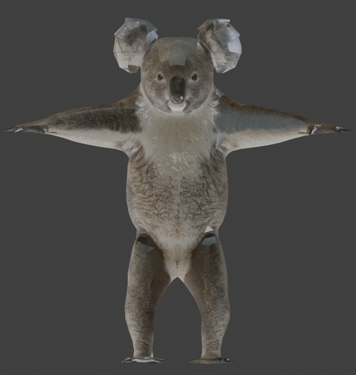 【3Dモデル】コアラ VRM+FBX同封