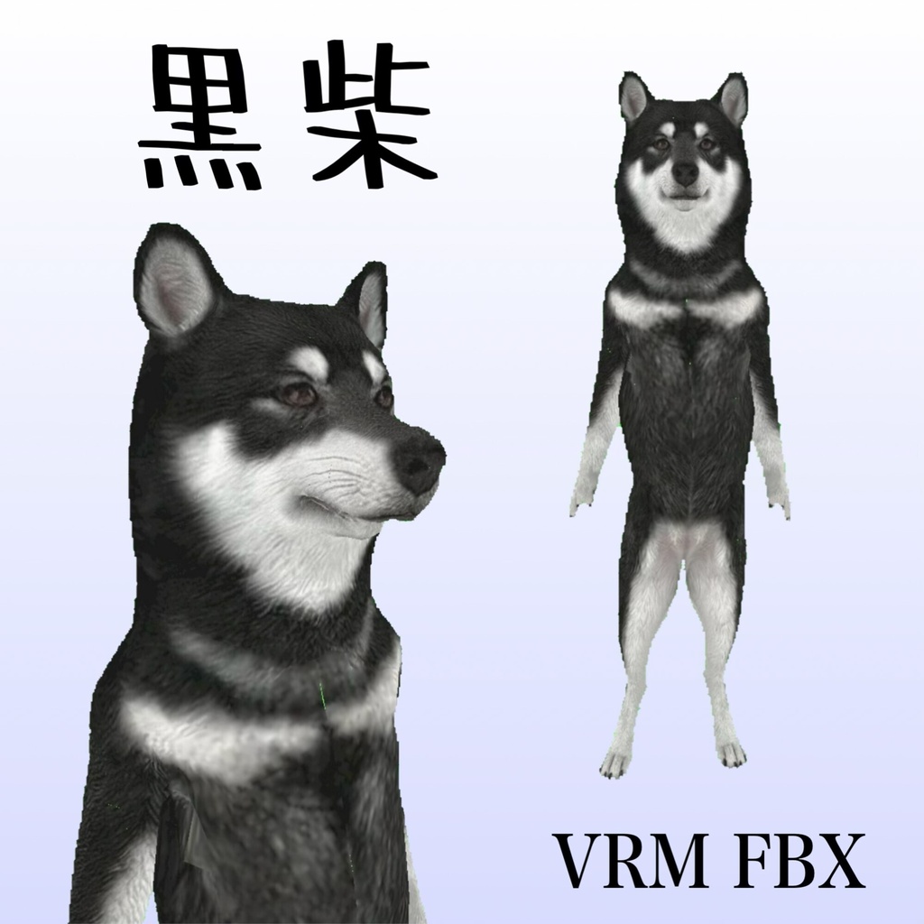 【３Dモデル】黒柴　VRM＋FBX同封