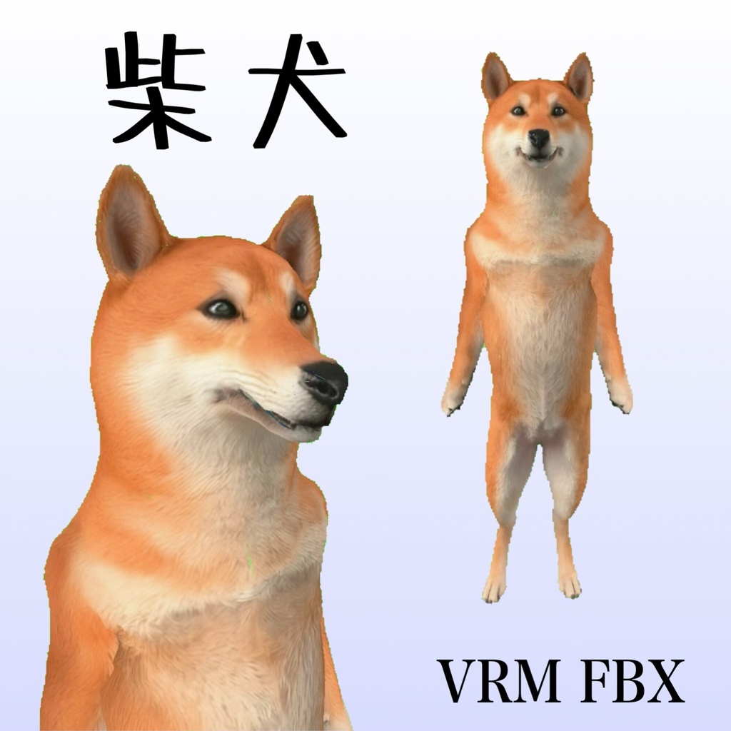 【３Dモデル】柴犬　VRM＋FBX同封