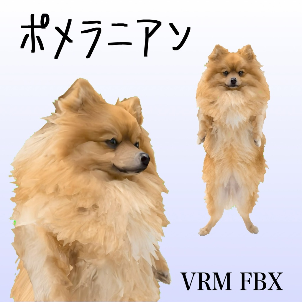 【3Dモデル】ポメラニアン VRM+FBX同封
