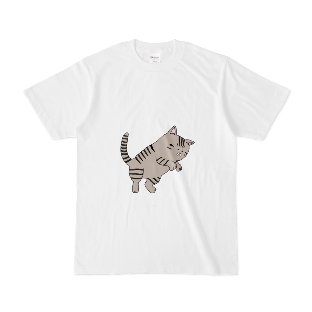 ねこさん(きじとら)