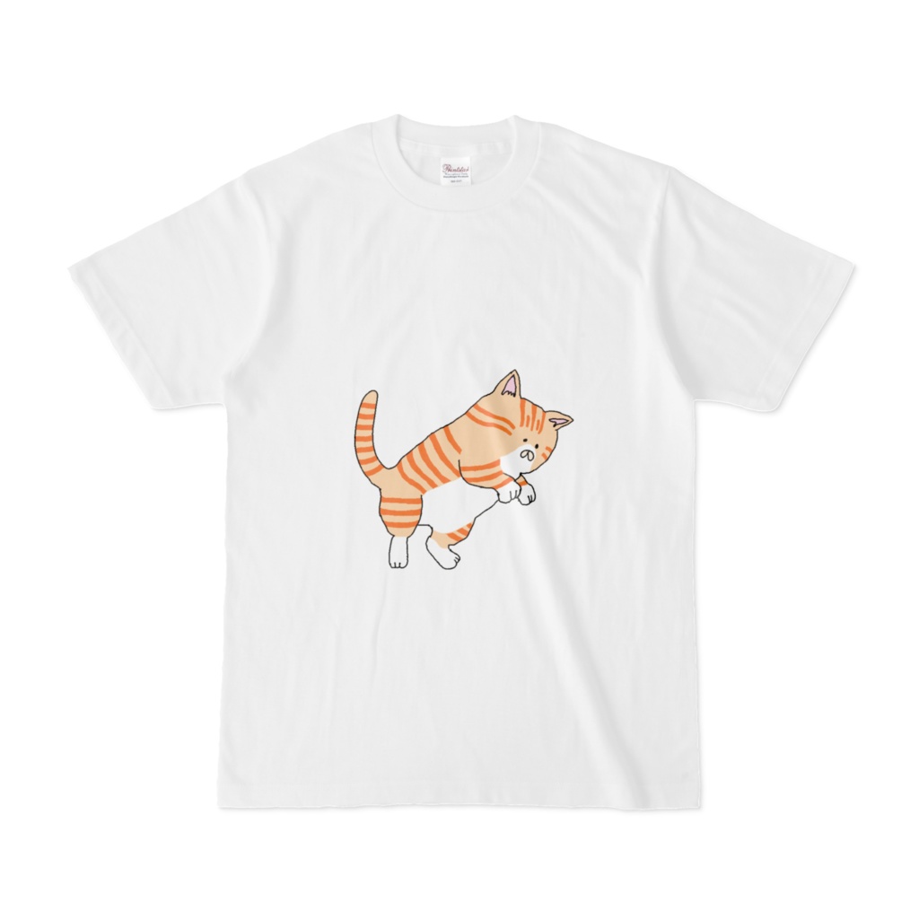 ねこさん(茶トラ)