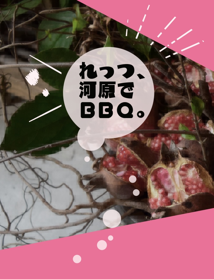れっつ、河原でBBQ。(匿名配送)