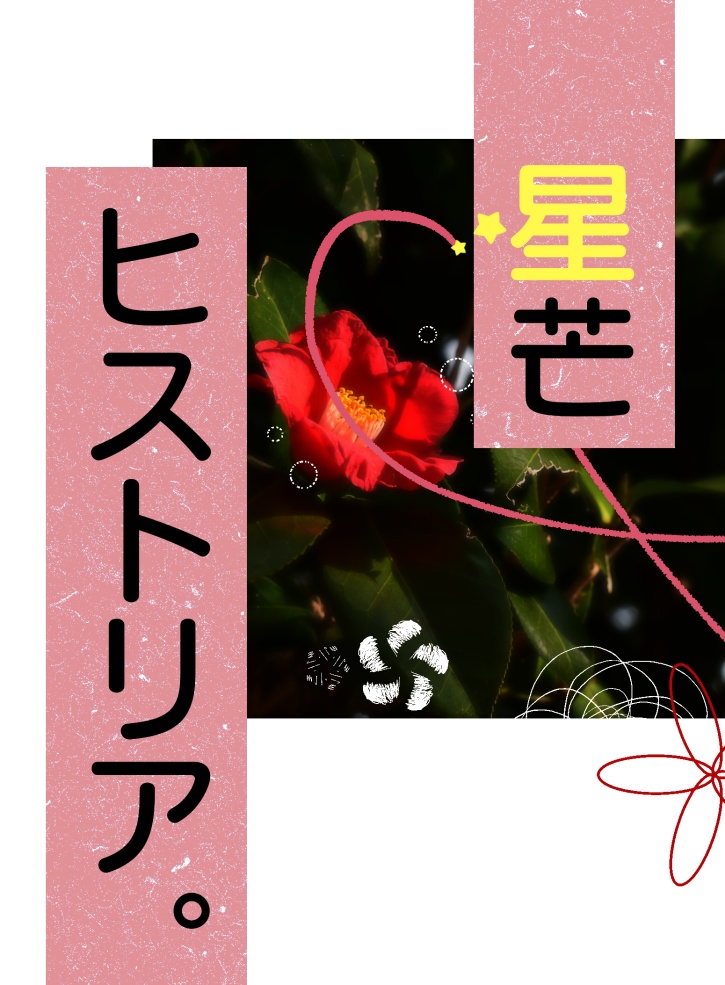 星芒ヒストリア。(匿名配送)