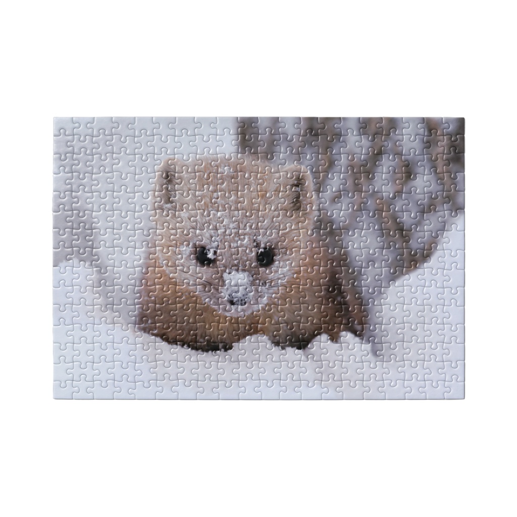 【パズル】雪の中のエゾクロテン