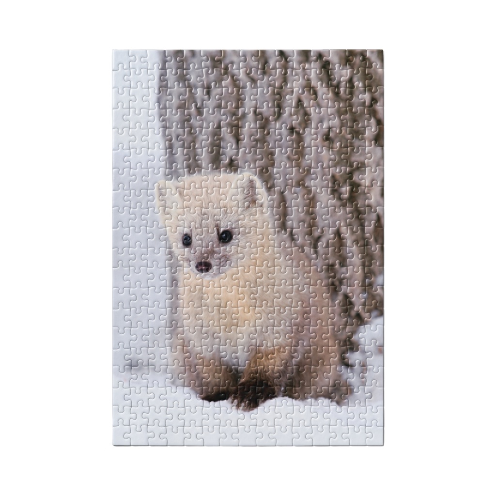 【パズル】雪の中のエゾクロテン002