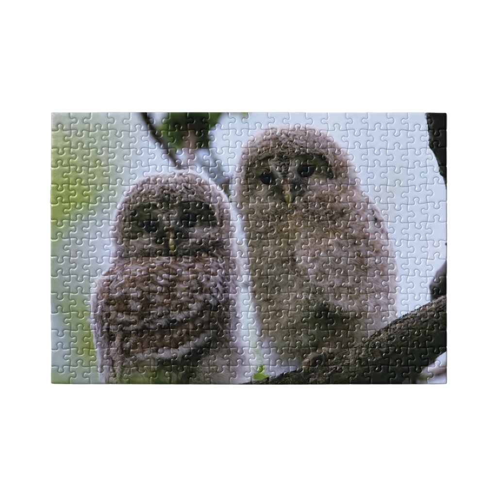 【エゾフクロウ】いつもそばに動物を