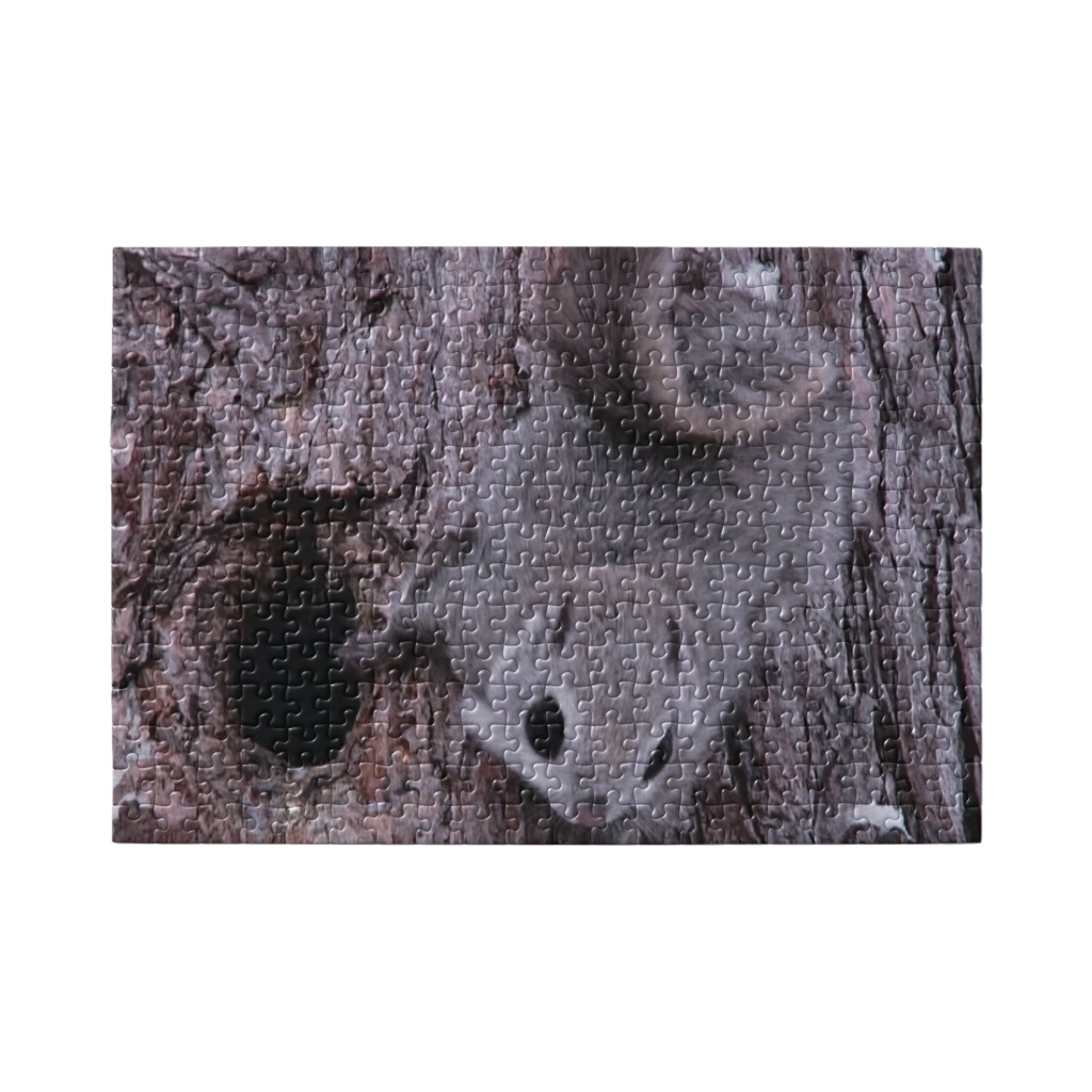 北海道サロベツで暮らすエゾモモンガ