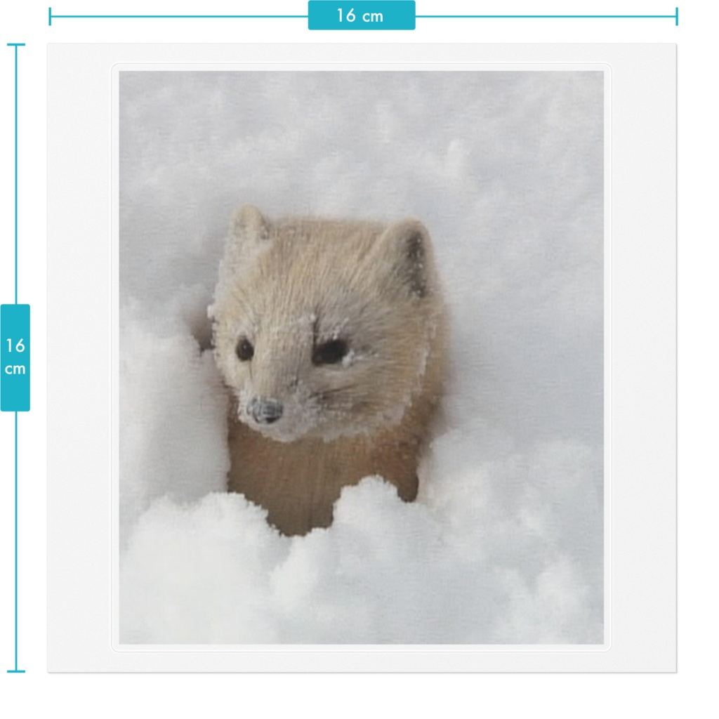 エゾクロテンで笑顔になろう