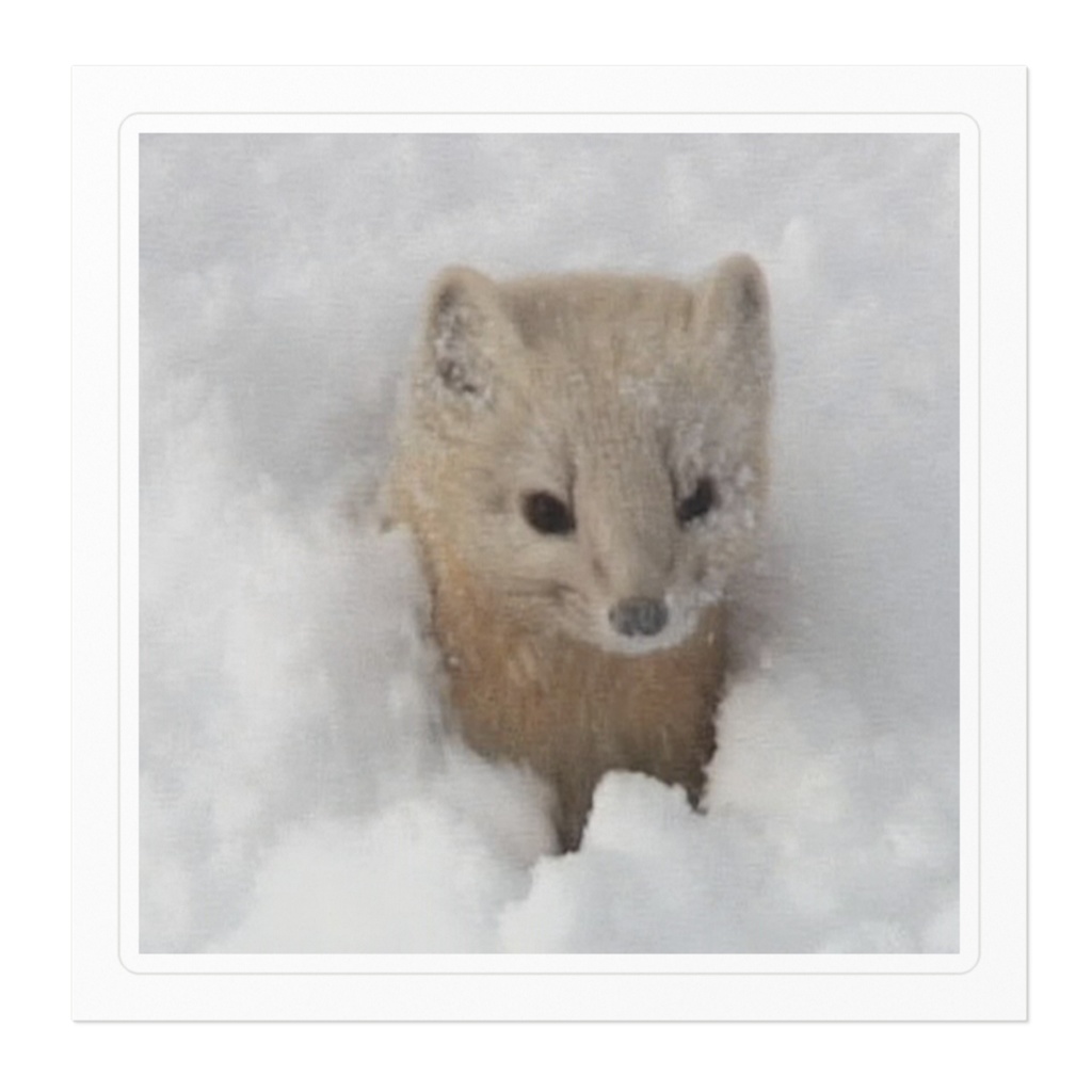 エゾクロテンがくれるもの