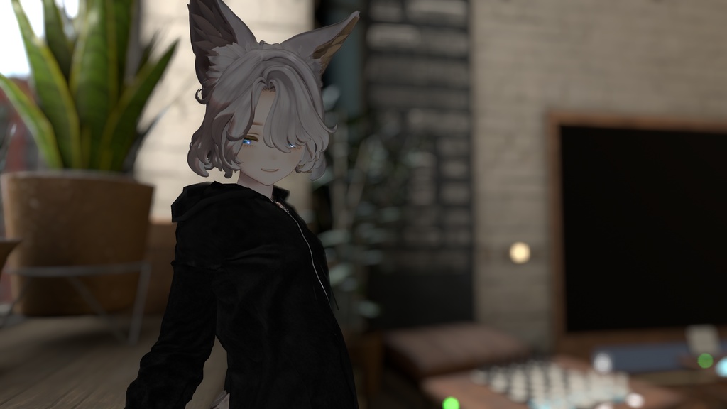 【期間限定セール】ヘビーウェイトパーカーセット【22アバター対応】