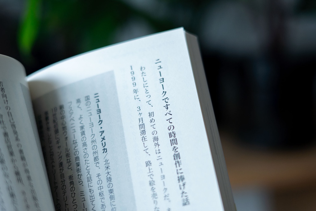アイスランドでオーロラハント【クリックポスト配送】
