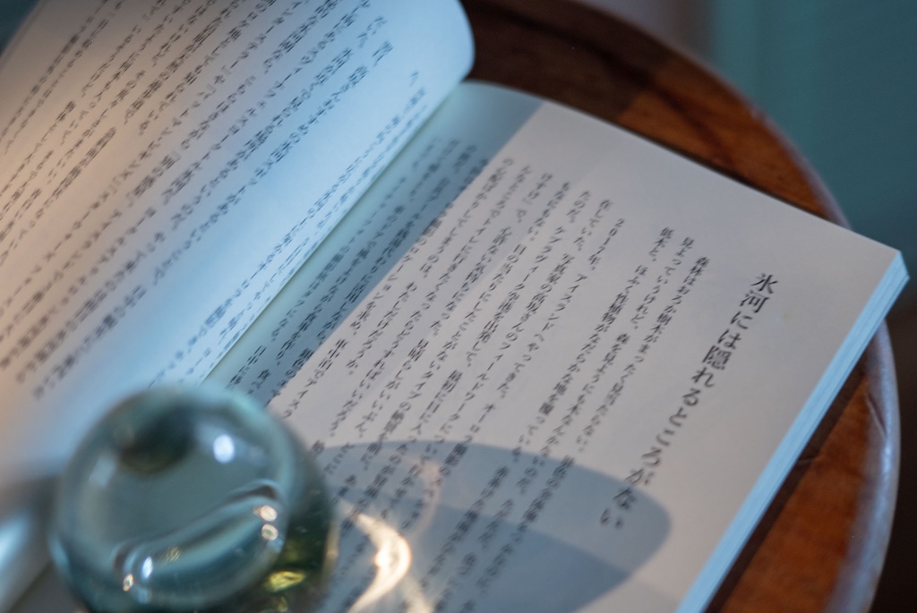 二村ヒトシ責任編集「穴」vol.01 企画編集・大泉りか号「懺悔します!!!」