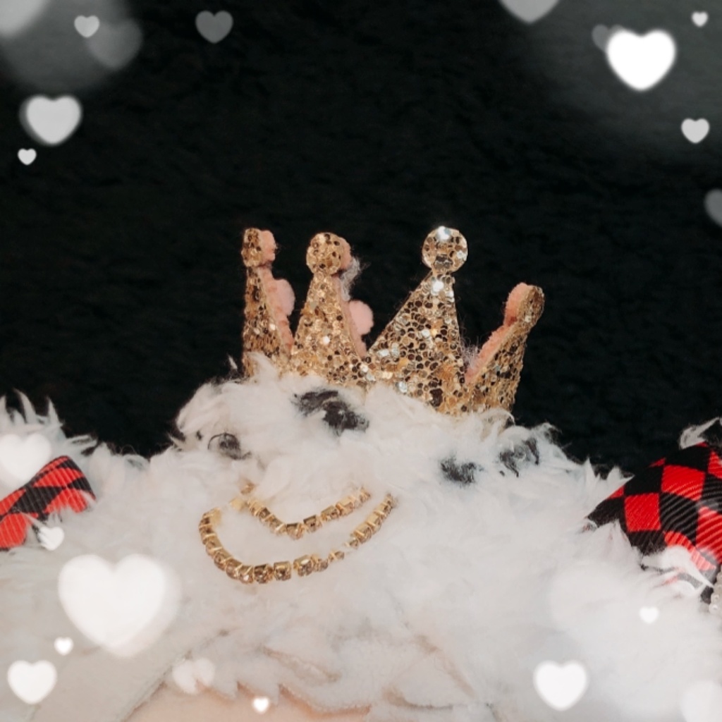 ワンダーゲームぬい♦️♠️♥️♣️