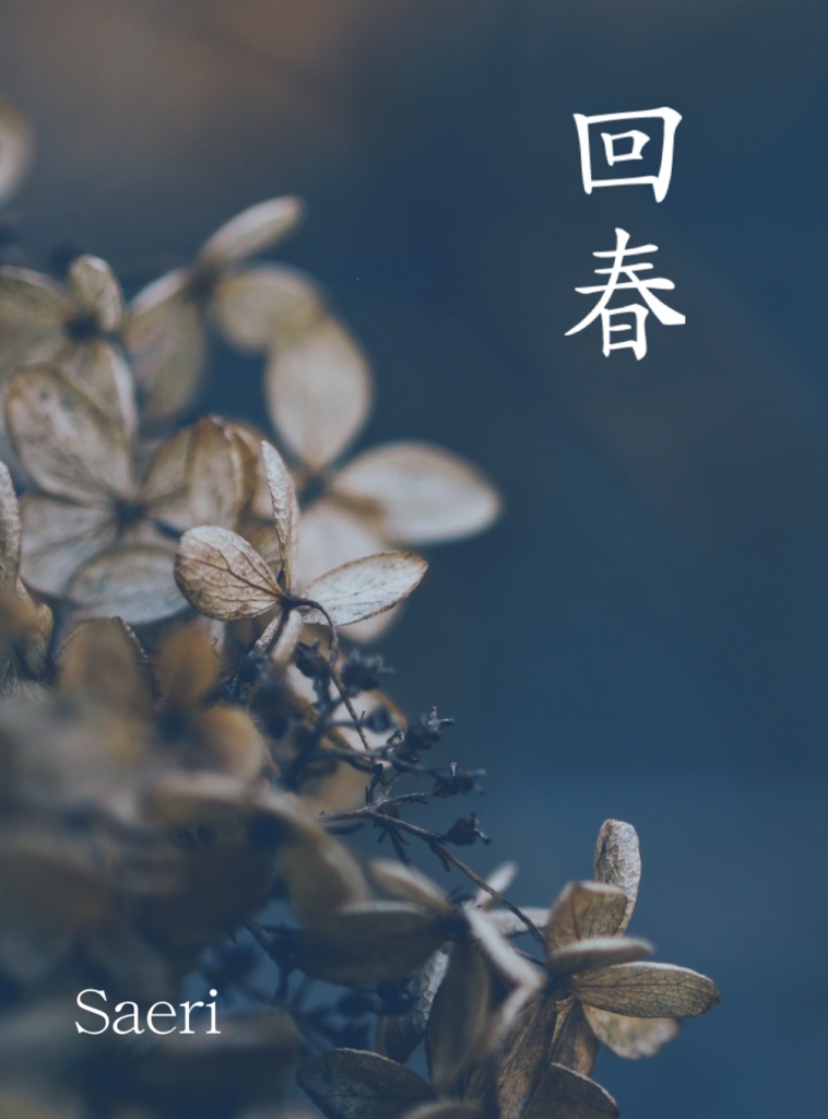 【マコスル】回春