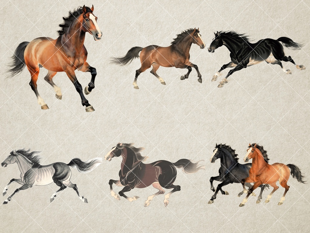 【商用利用可】和風・馬のイラスト素材集 44点セット|ヴィンテージ・墨絵風・背景透過PNG