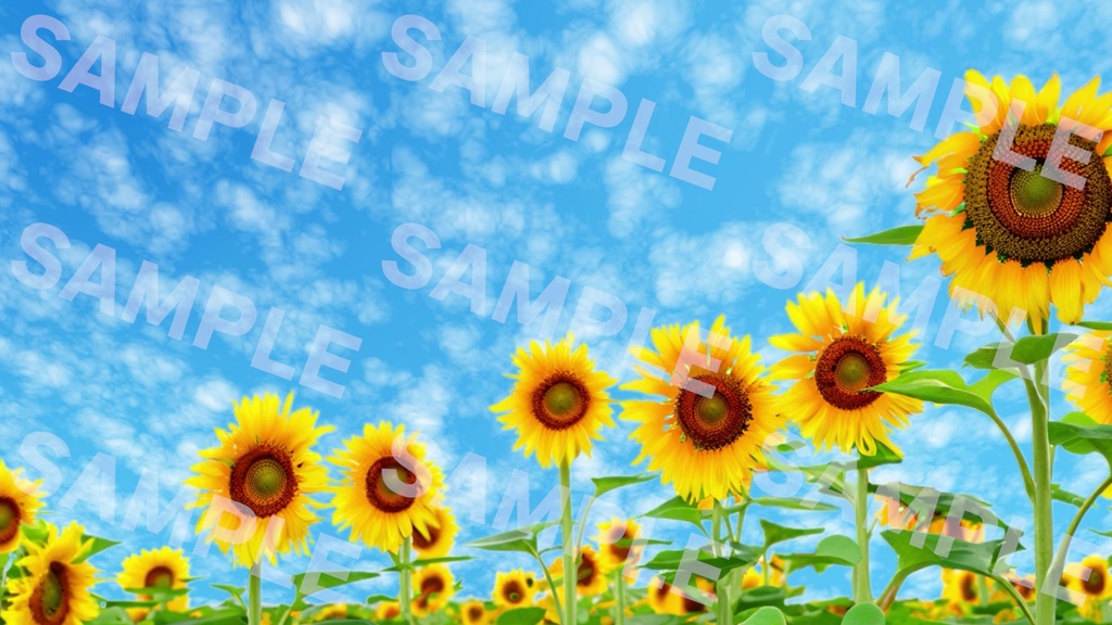 【動く背景/ループ】ひまわり【OBS/配信/動画編集】