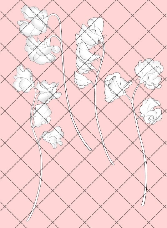 スイートピー(４本)