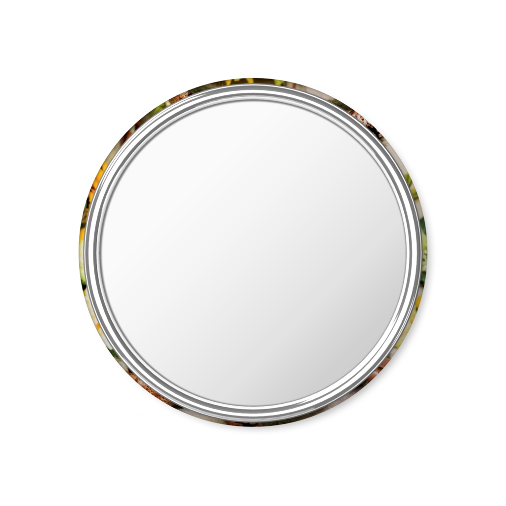 フェネックさん缶ミラー