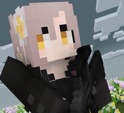 Minecraft Skin - a74