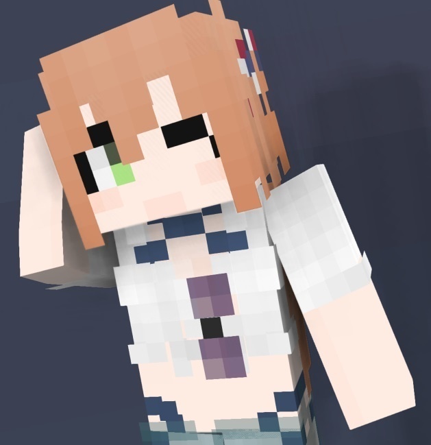 Minecraft Skin - a137