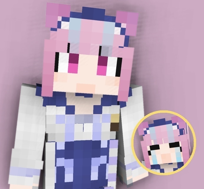 Minecraft Skin - a251