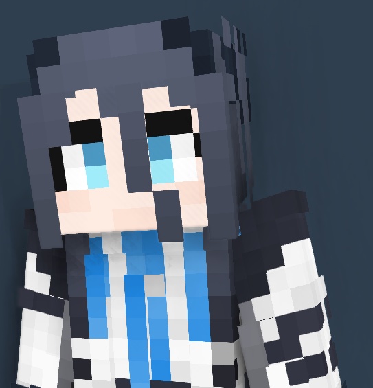 Minecraft Skin - a355