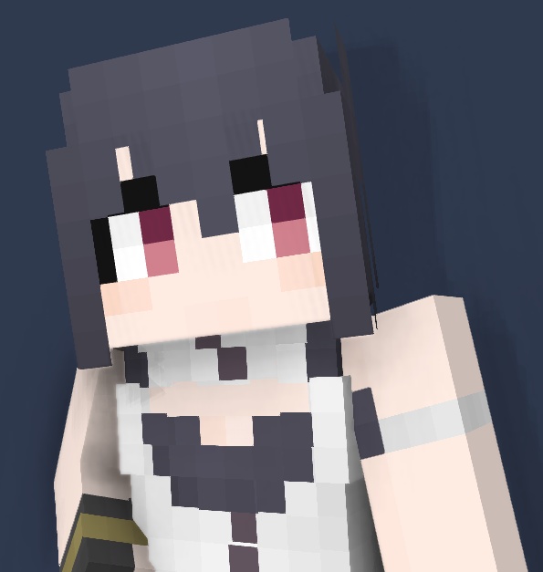 Minecraft Skin - a356