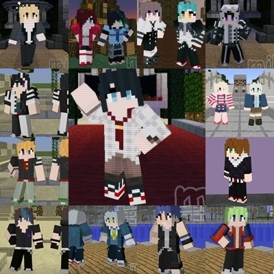 13/13 Minecraft Skin - F1