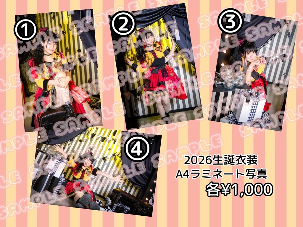 【Tシャツとの同梱不可】 2026生誕衣装A4ラミネート写真