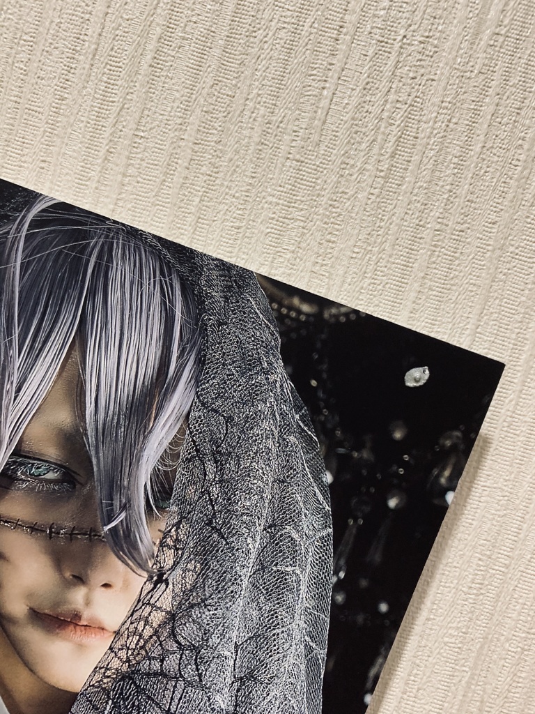 ※ジャンク品※Prière des morts