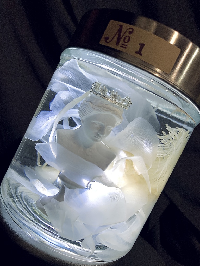 No.2:月下美人標本