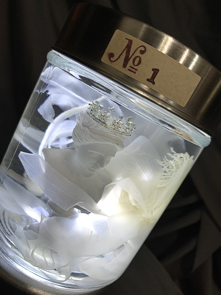 No.2:月下美人標本