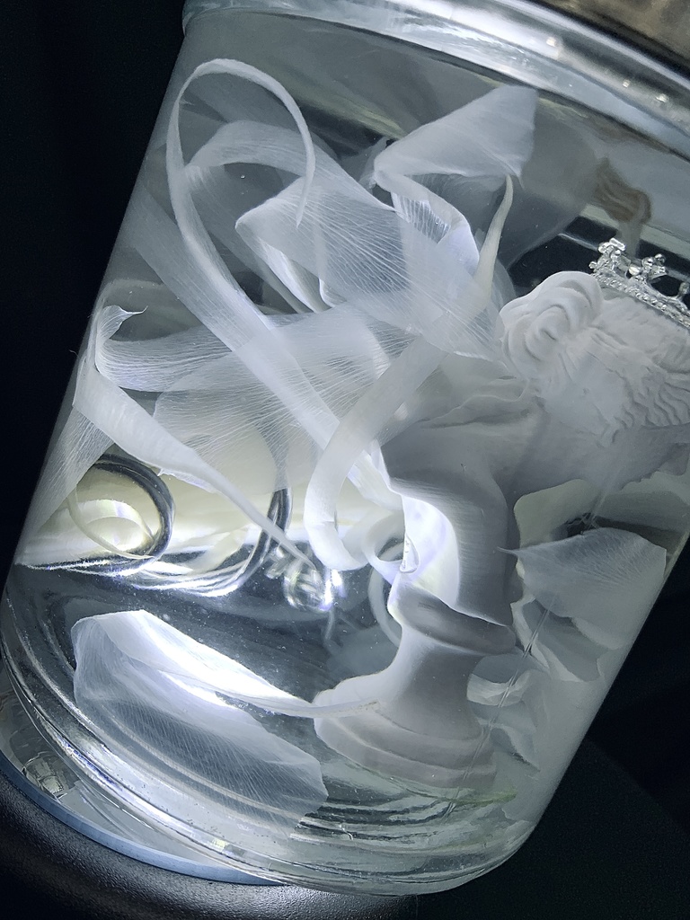 No.2:月下美人標本