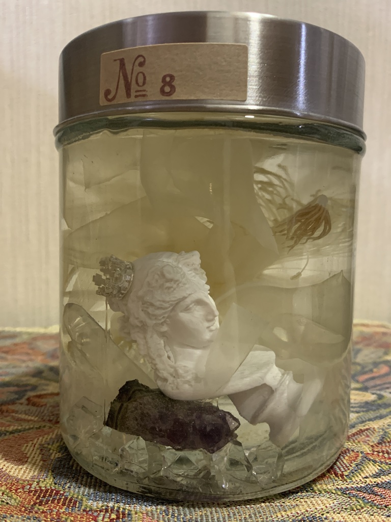 No.8:月下美人標本