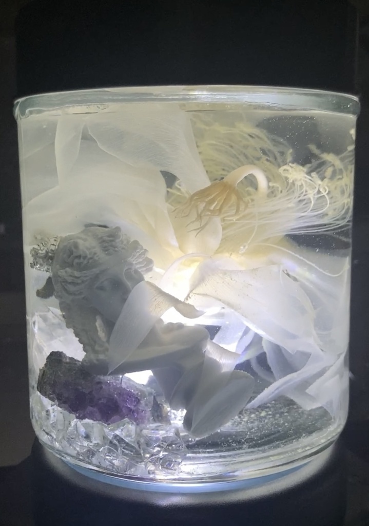 No.8:月下美人標本