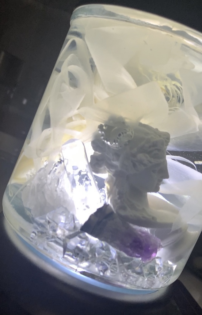 No.8:月下美人標本